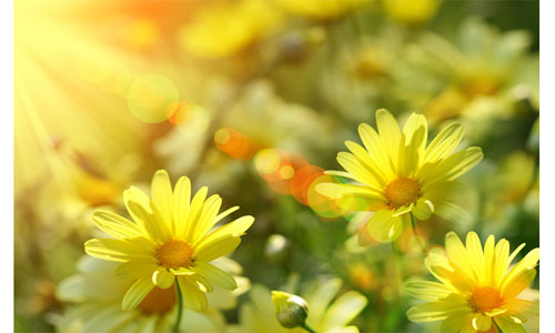 汇信外贸软件--且用且珍惜