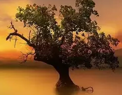 【汇信外贸软件】如何让老客户免费给你介绍新客户！