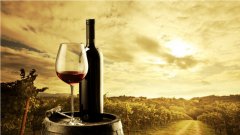 进口业务管理软件，选汇信，更放心