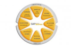 与SAP咨询团队共同打造信息化单证系统