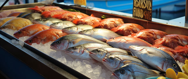 冷链出海新引擎：外贸ERP软件让冷冻鱼出口订单效率提高50%