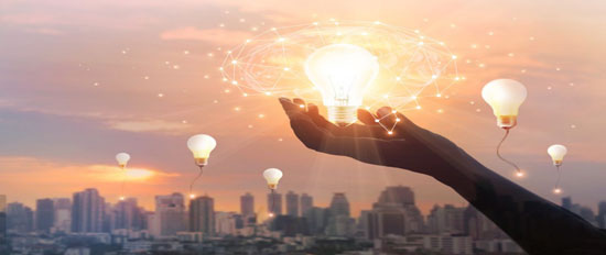 外贸软件以数字化驱动全业务提升_冷冻进口行业案例