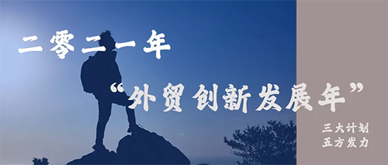 新气象丨2021年稳外贸稳外资路线明确