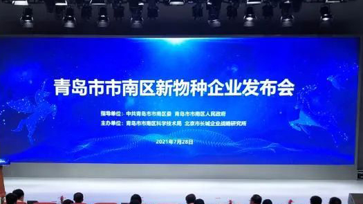 新物种 新动能 新战略｜汇信互联入选市南区新物种企业梯度培育计划