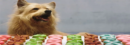 疫情之下，新领域出口成为外贸红海！