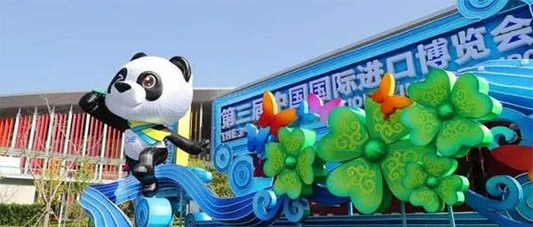 进博会今日启幕，六大看点先睹为快