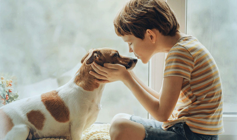 烟台中宠食品股份有限公司